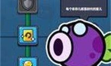 蛋壳特工最新爆料